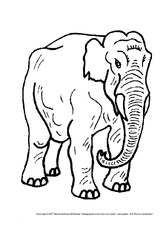 Elefant-1.pdf